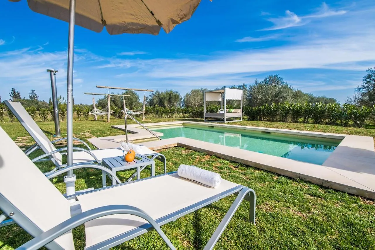 Ideal Property Mallorca - Son Vivot Sa Pobla Spanje