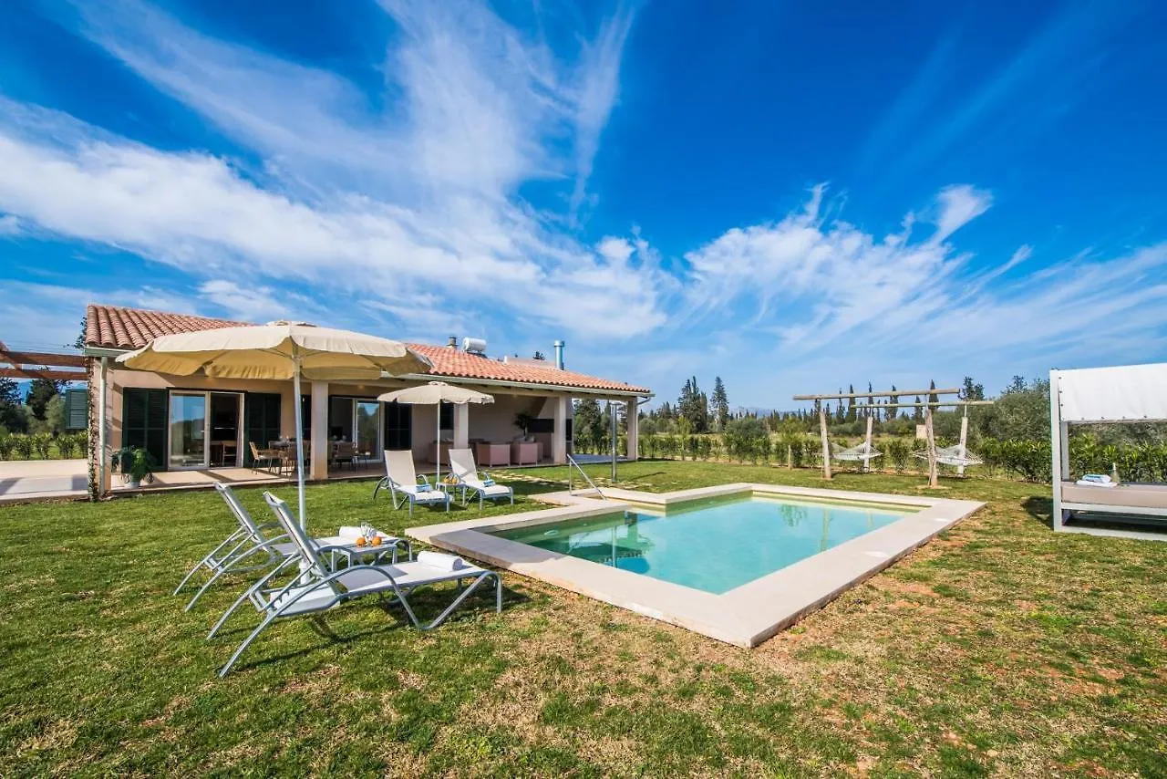 Ideal Property Mallorca - Son Vivot Sa Pobla 0*,