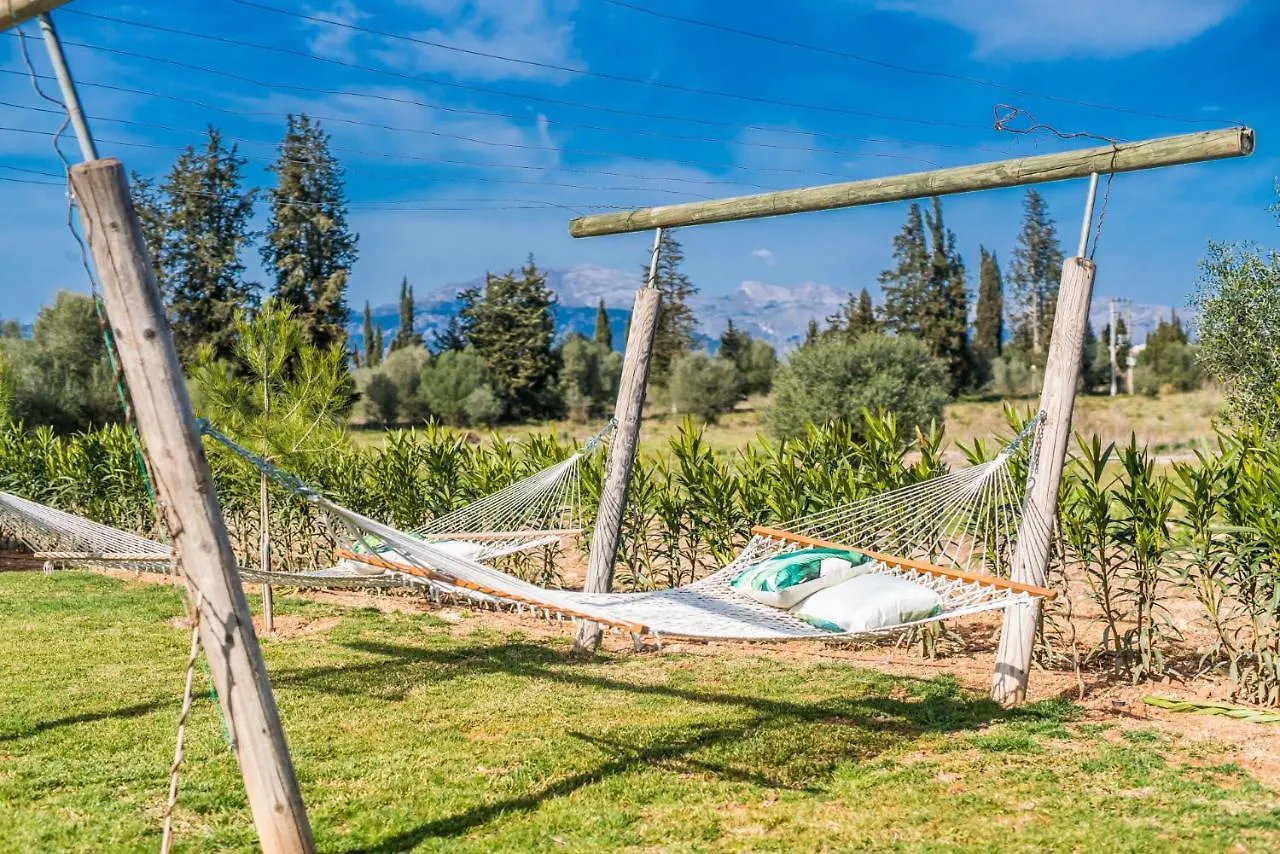 Country house Ideal Property Mallorca - Son Vivot Sa Pobla